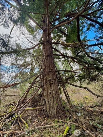 35208 88th Avenue, Mckenna, WA 98558