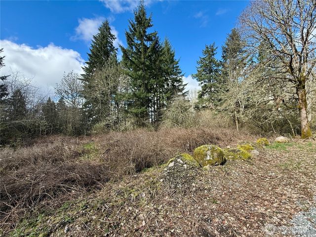 35208 88th Avenue, Mckenna, WA 98558