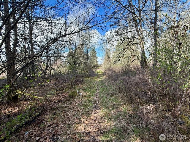 35208 88th Avenue, Mckenna, WA 98558