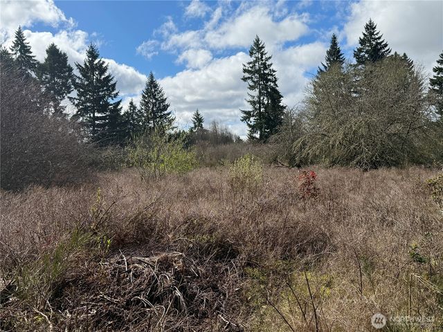 35208 88th Avenue, Mckenna, WA 98558