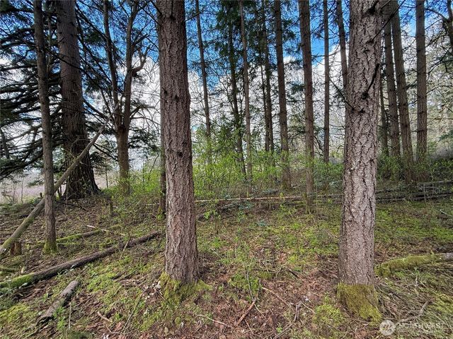 35208 88th Avenue, Mckenna, WA 98558