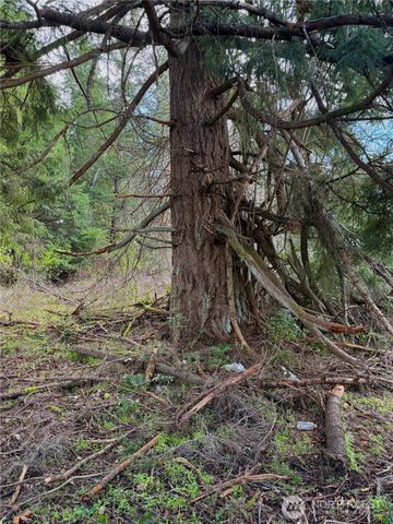 35208 88th Avenue, Mckenna, WA 98558