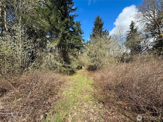 35208 88th Avenue, Mckenna, WA 98558