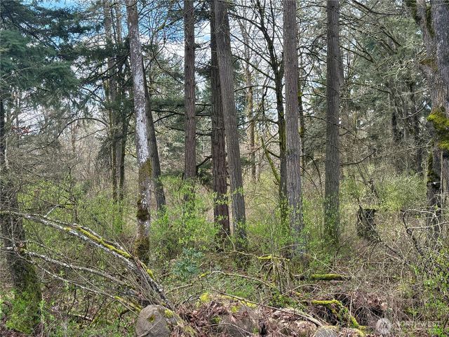 35208 88th Avenue, Mckenna, WA 98558