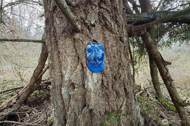 35208 88th Avenue, Mckenna, WA 98558