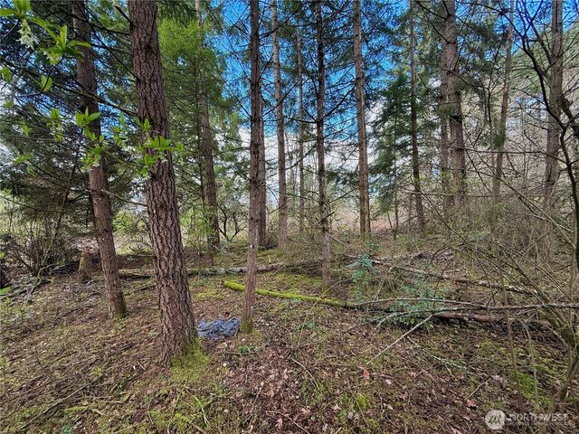 35208 88th Avenue, Mckenna, WA 98558