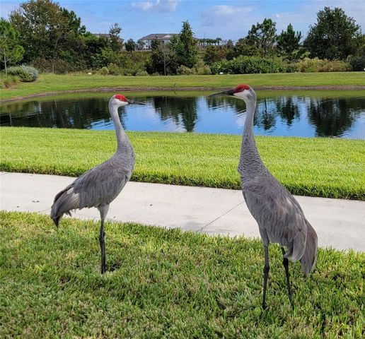 9753 LOST CREEK DRIVE, Winter Garden, FL 34787