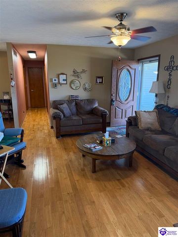 845 D E Brown Road, Brandenburg, KY 40108