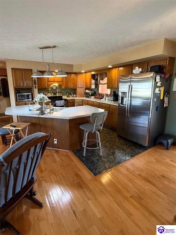 845 D E Brown Road, Brandenburg, KY 40108