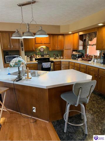 845 D E Brown Road, Brandenburg, KY 40108