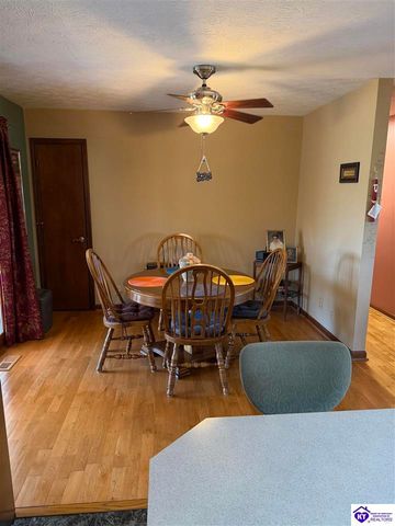 845 D E Brown Road, Brandenburg, KY 40108