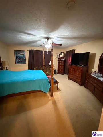 845 D E Brown Road, Brandenburg, KY 40108