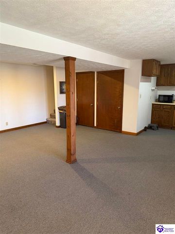 845 D E Brown Road, Brandenburg, KY 40108