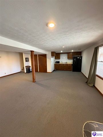 845 D E Brown Road, Brandenburg, KY 40108