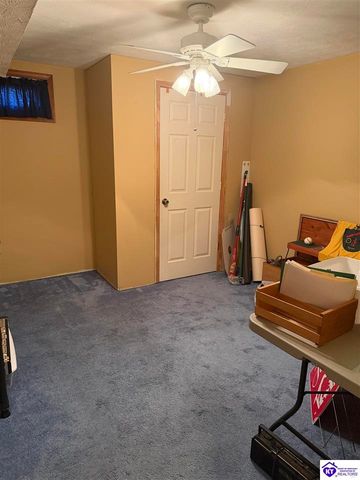 845 D E Brown Road, Brandenburg, KY 40108