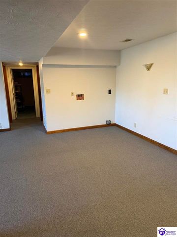 845 D E Brown Road, Brandenburg, KY 40108