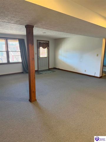 845 D E Brown Road, Brandenburg, KY 40108