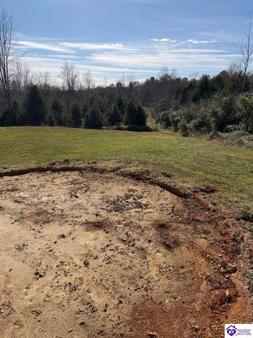 845 D E Brown Road, Brandenburg, KY 40108