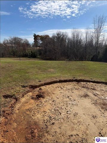 845 D E Brown Road, Brandenburg, KY 40108