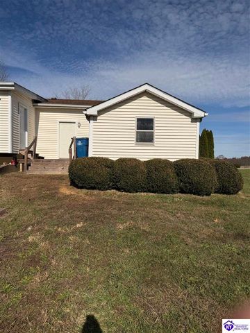 845 D E Brown Road, Brandenburg, KY 40108