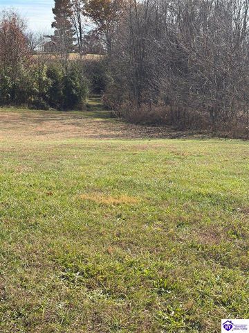 845 D E Brown Road, Brandenburg, KY 40108