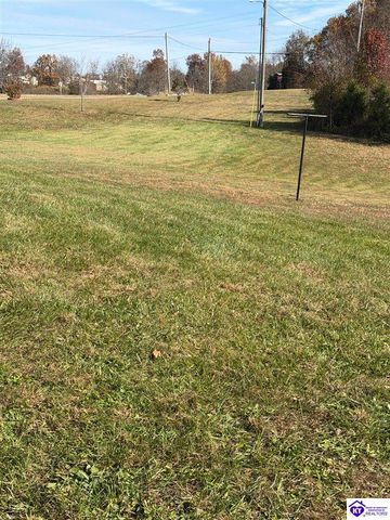 845 D E Brown Road, Brandenburg, KY 40108