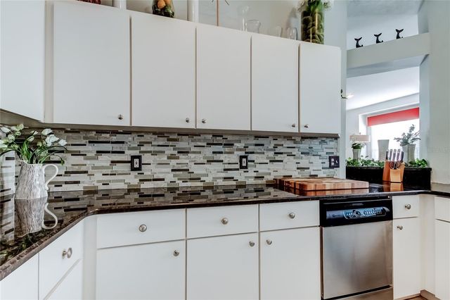 19131 LAKE AUDUBON DRIVE, Tampa, FL 33647