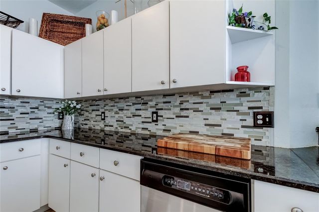 19131 LAKE AUDUBON DRIVE, Tampa, FL 33647