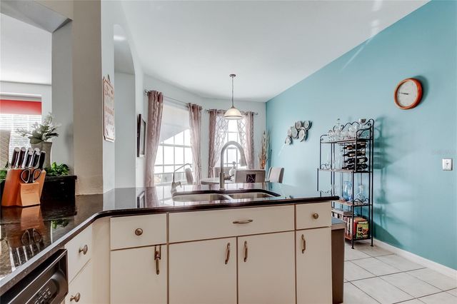 19131 LAKE AUDUBON DRIVE, Tampa, FL 33647