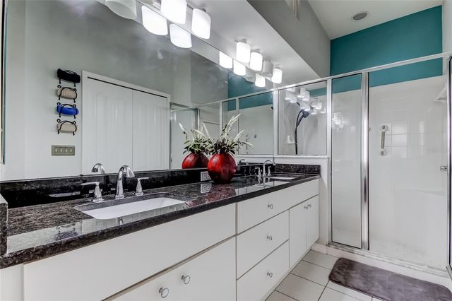 19131 LAKE AUDUBON DRIVE, Tampa, FL 33647