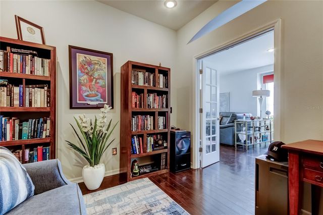 19131 LAKE AUDUBON DRIVE, Tampa, FL 33647