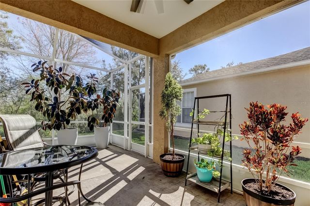 19131 LAKE AUDUBON DRIVE, Tampa, FL 33647