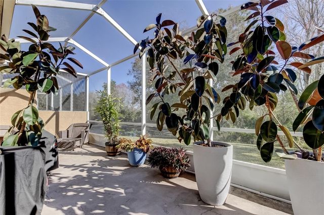 19131 LAKE AUDUBON DRIVE, Tampa, FL 33647