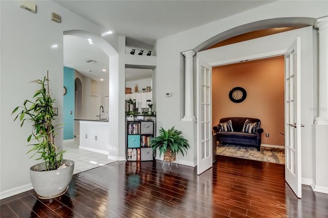 19131 LAKE AUDUBON DRIVE, Tampa, FL 33647