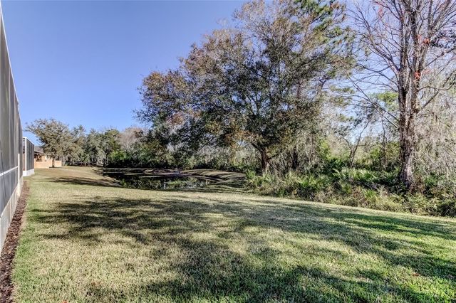 19131 LAKE AUDUBON DRIVE, Tampa, FL 33647