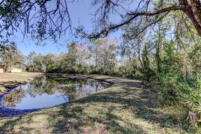 19131 LAKE AUDUBON DRIVE, Tampa, FL 33647