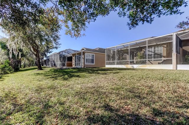 19131 LAKE AUDUBON DRIVE, Tampa, FL 33647