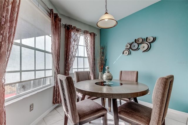 19131 LAKE AUDUBON DRIVE, Tampa, FL 33647