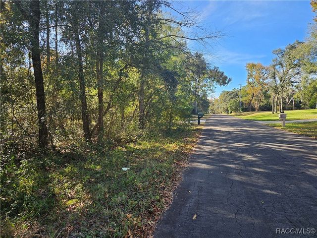 296 E Foster Court, Lecanto, FL 34461