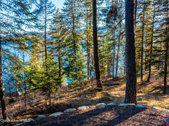 L11 & L12 W Mica Shore Road, Coeur D'alene, ID 83814
