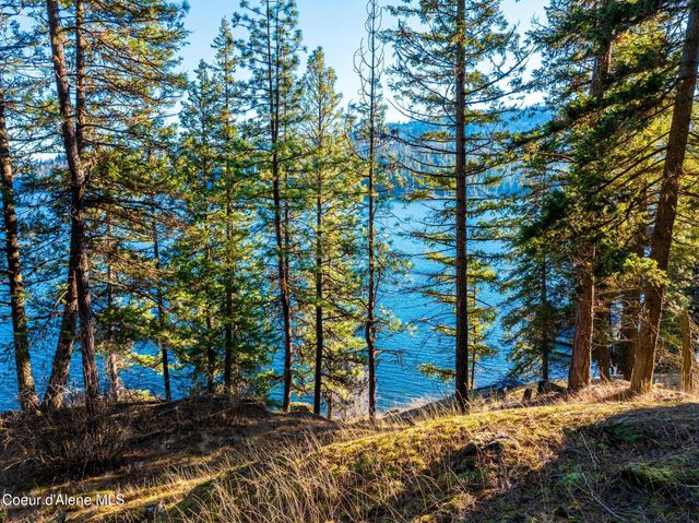 L11 & L12 W Mica Shore Road, Coeur D'alene, ID 83814