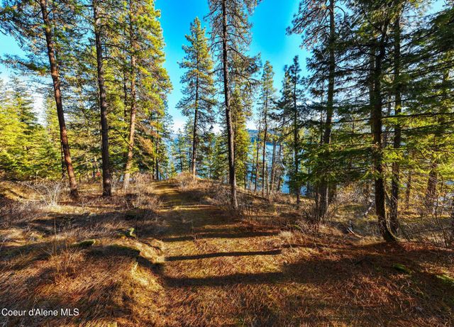 L11 & L12 W Mica Shore Road, Coeur D'alene, ID 83814