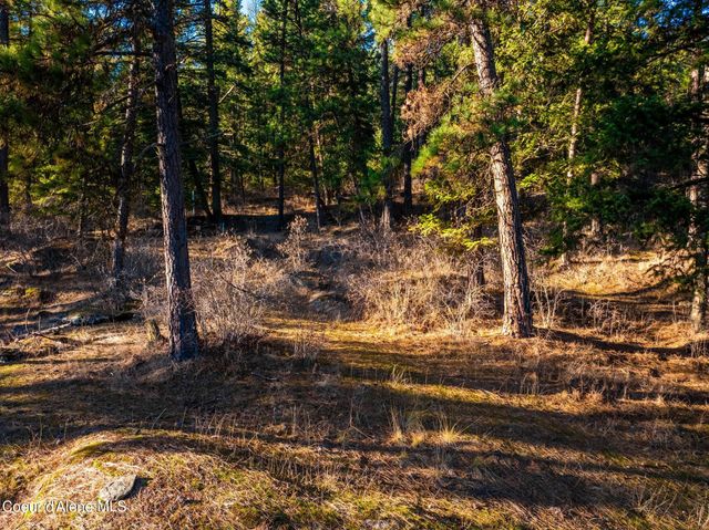 L11 & L12 W Mica Shore Road, Coeur D'alene, ID 83814