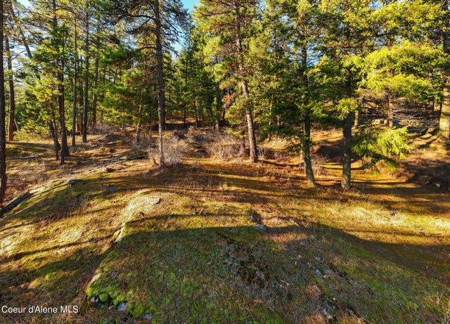 L11 & L12 W Mica Shore Road, Coeur D'alene, ID 83814