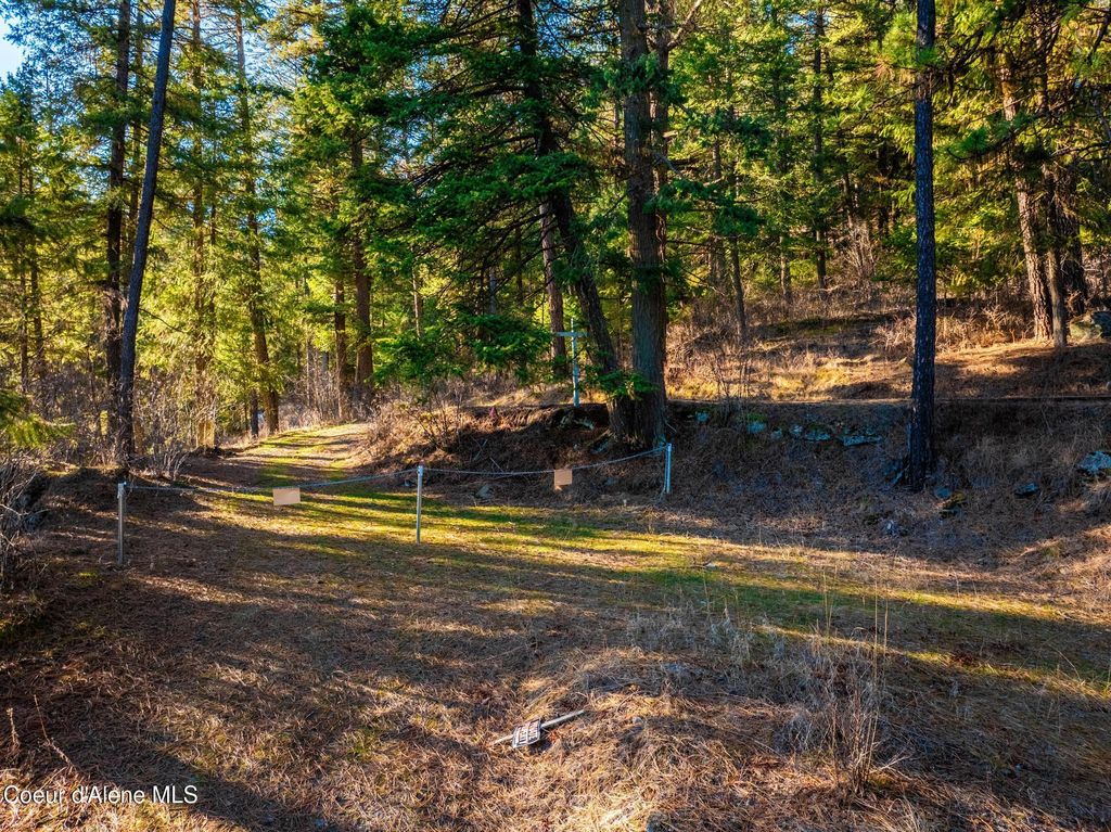 L11 & L12 W Mica Shore Road, Coeur d'Alene, ID 83814 photo 16