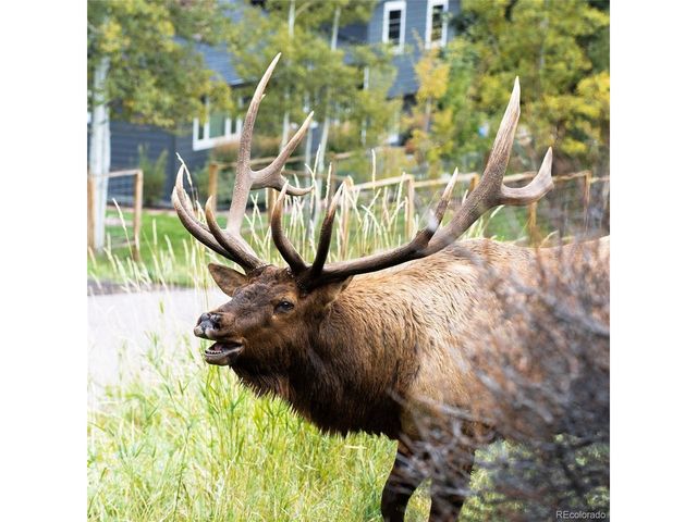 27976 Lupine Dr, Evergreen, CO 80439