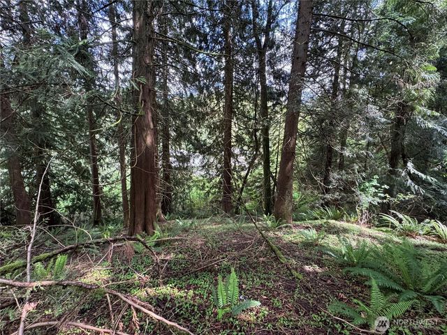 16113 NE 124th Street, Redmond, WA 98052