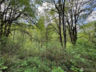 16113 NE 124th Street, Redmond, WA 98052
