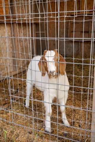 3065 S Somer Lane, Republic, MO 65738