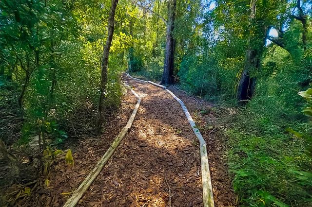 2060 CANOPY TERRACE BOULEVARD, Deland, FL 32724